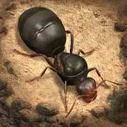 蚂蚁：地下王国内置菜单